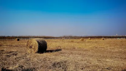 Kasino Adrenaline Mobilná aplikácia